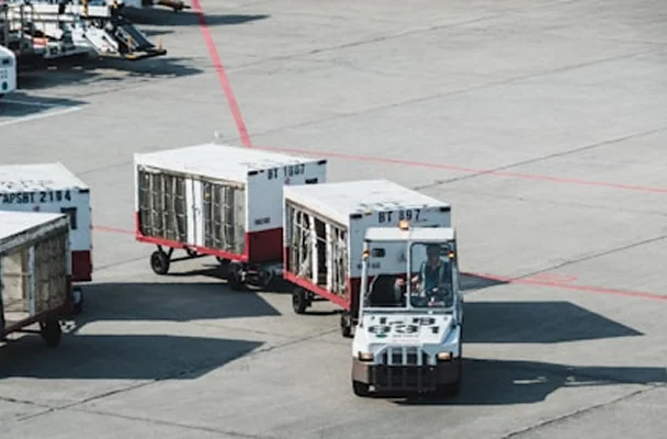 Cargo & Logistics Executive